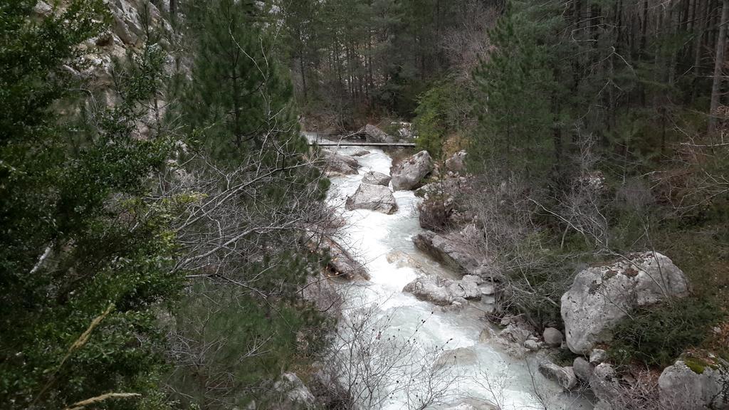 شقة Les Cigales D'Estoublon الغرفة الصورة